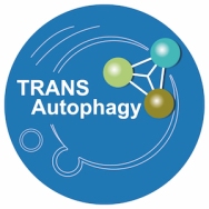 Logo - Transautophagy